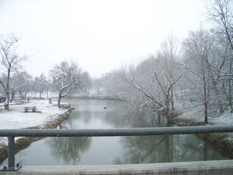 Cleburne, TX: Frozen creek in Cleburne near Hulen Park.