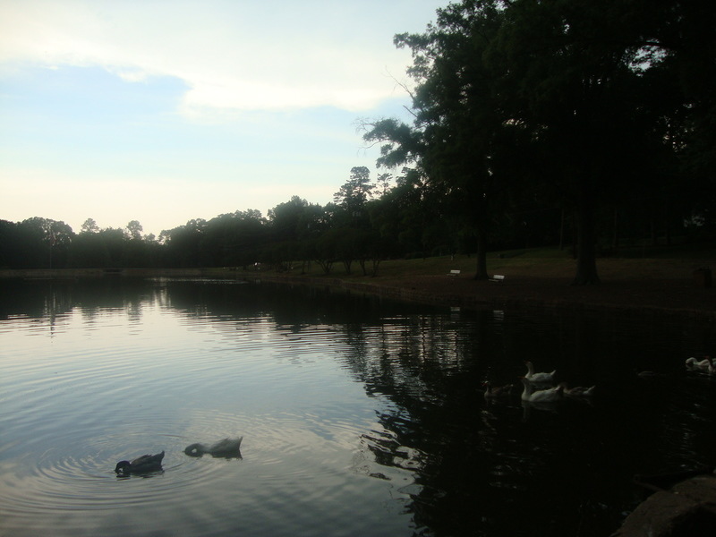 Salisbury, NC: Evening at the lake