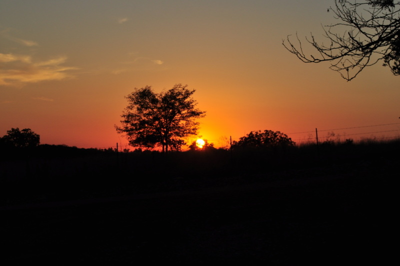 Berryville, AR: sunset