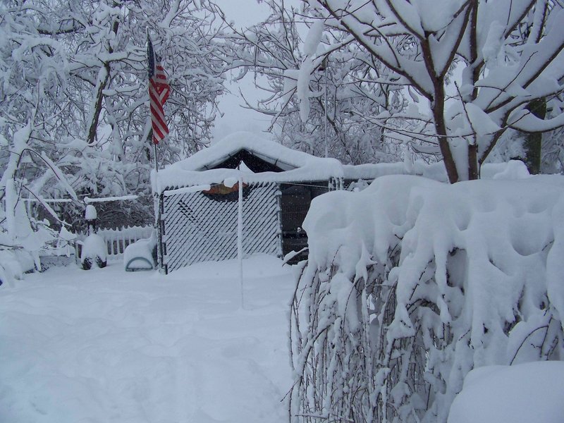 Carnegie, PA: winter wonder land