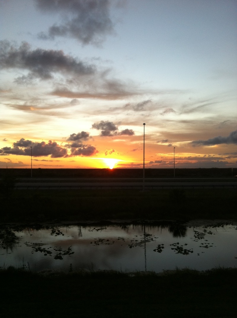 Coral Springs, FL: Sun set right off the sawgrass express way near my school