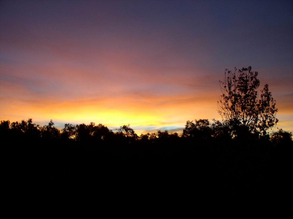 Hidden Meadows, CA : SUNRISE IN HIDDEN MEADOWS