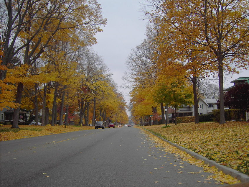 Plymouth, IN : Michigan st