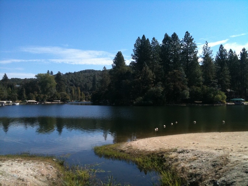 Lake Wildwood, CA : From the shore of Lake Wildwood photo, picture