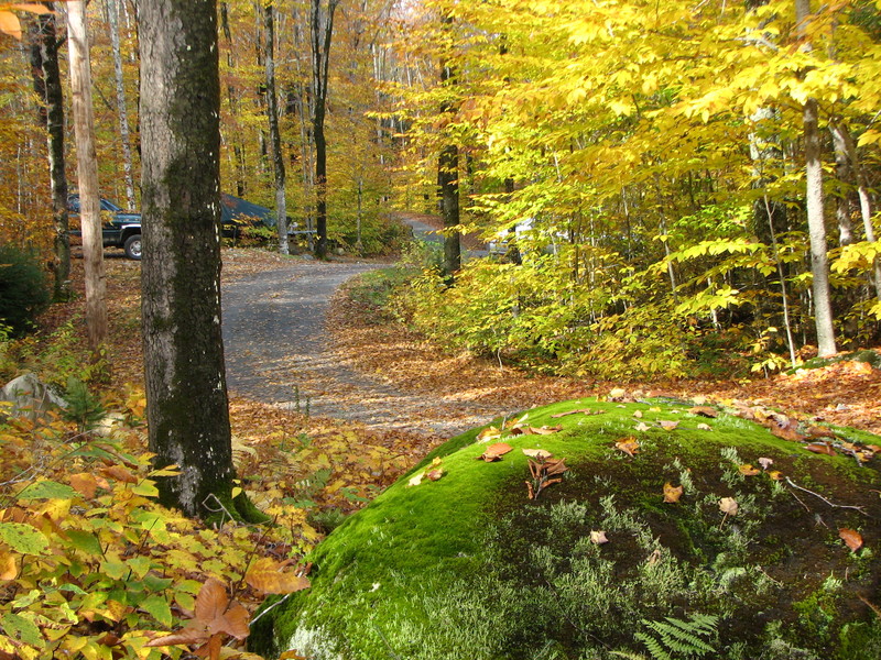 Ripley, ME Camp Road photo, picture, image (Maine) at