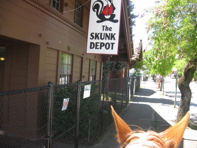 Willits, CA: Would they let a horse ride the train?