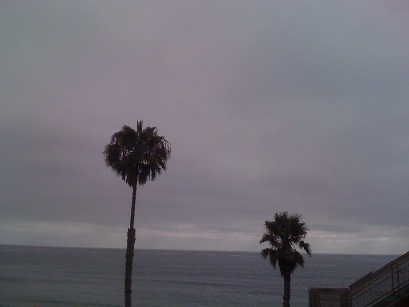 San Clemente, CA: Palms - San Clemente