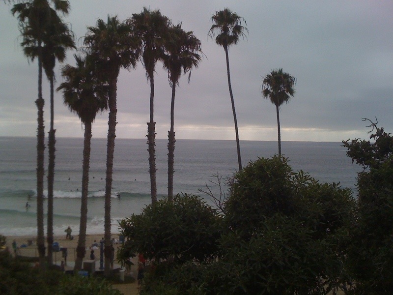 San Clemente, CA: Palm Trees - San Clemente