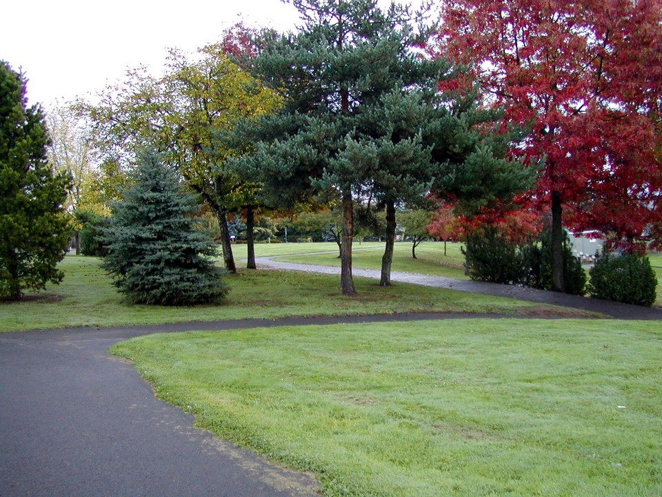 Dundee, OR : Billock Park, Dundee, OR photo, picture, image (Oregon) at