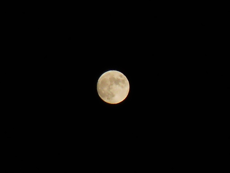 Brookings, OR: full moon