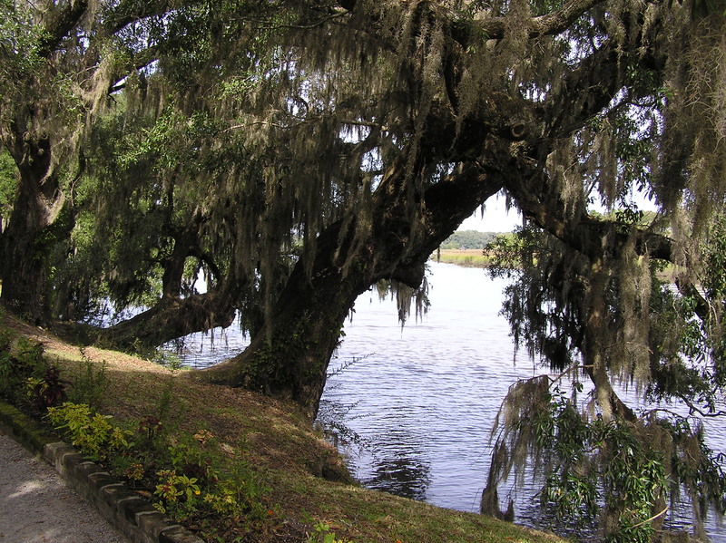 City Of Plantation Building Dept Permits City Of Plantation Building Dept Permits