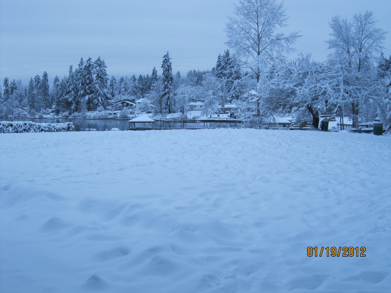 Lake Stevens, WA: How serene the snow and lake look 1/19/12