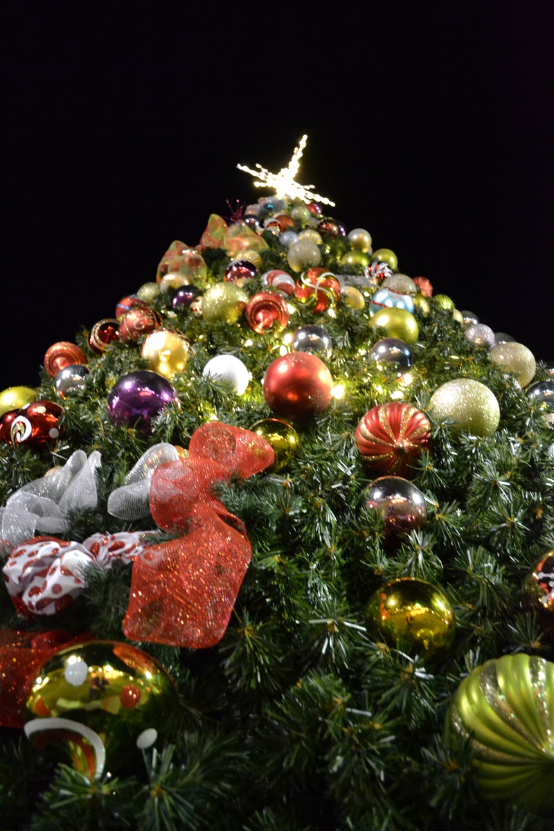 Andalusia, AL: Andalusia Square Christmas Tree