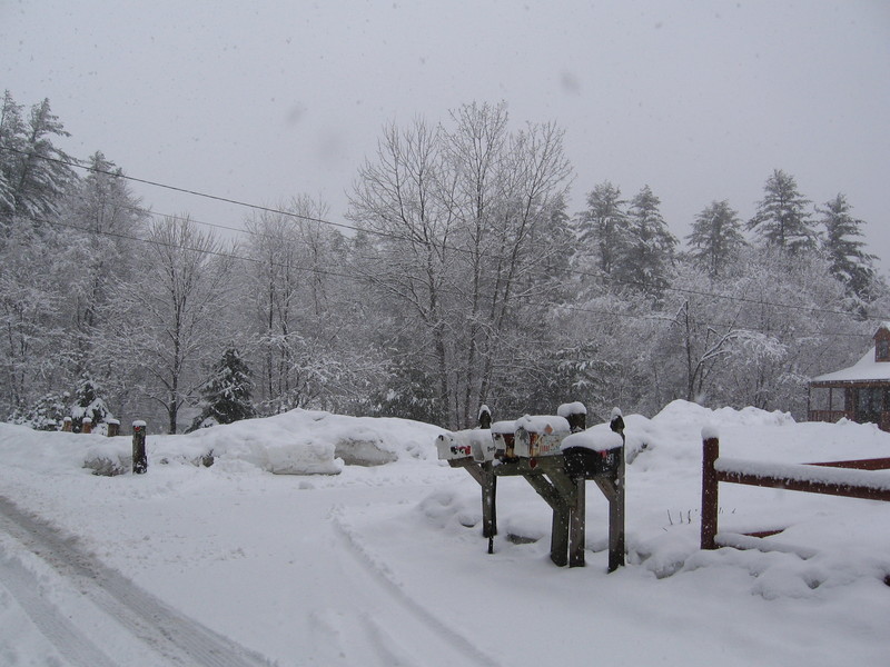Sanford, ME: Javica Lane in the snow