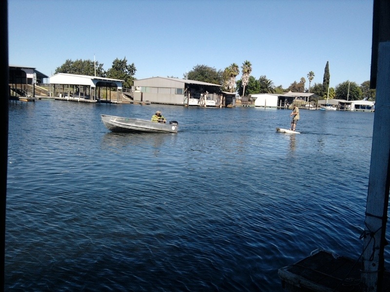 Bethel Island, CA water skiing island style photo, picture, image
