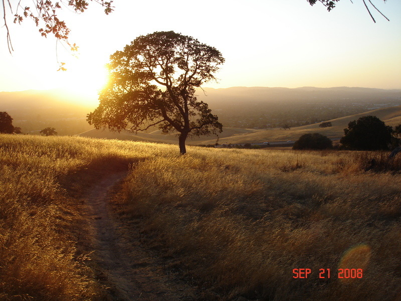 Walnut Creek, CA: Open space in eastside of Walnut Creek