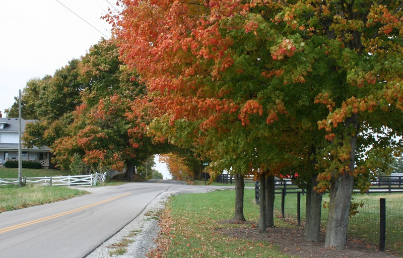 Westfield, IN: West 156th St. & Joliet Rd. during the fall