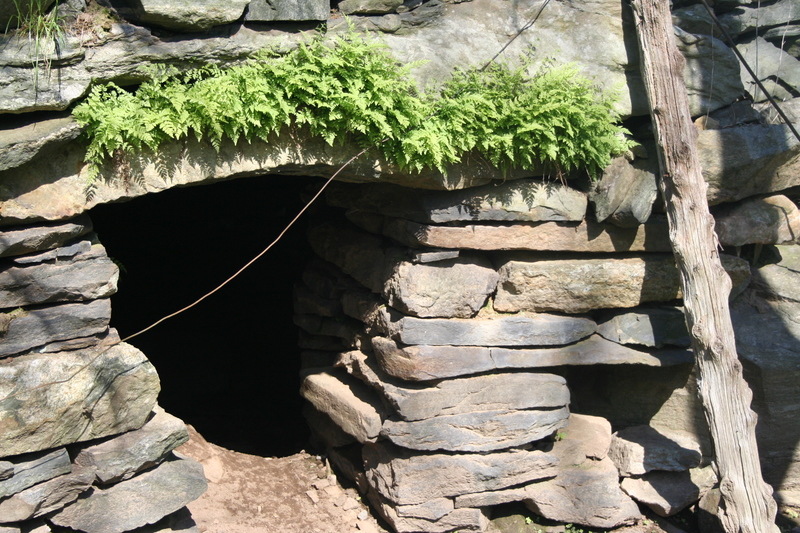 Preston, CT: tunnels and root celler on our farm the old John Meech homestead
