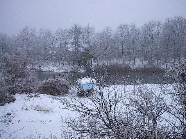 Bay Shore, NY: A sailboat next to bay creek at high tide in snowfall