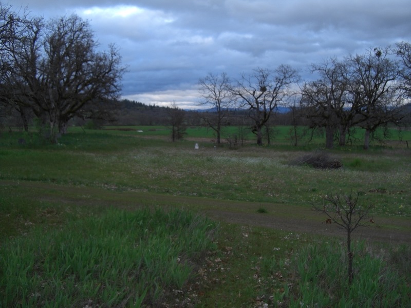 Sams Valley, OR sams valley, OR near Ramsey Rd. photo, picture, image