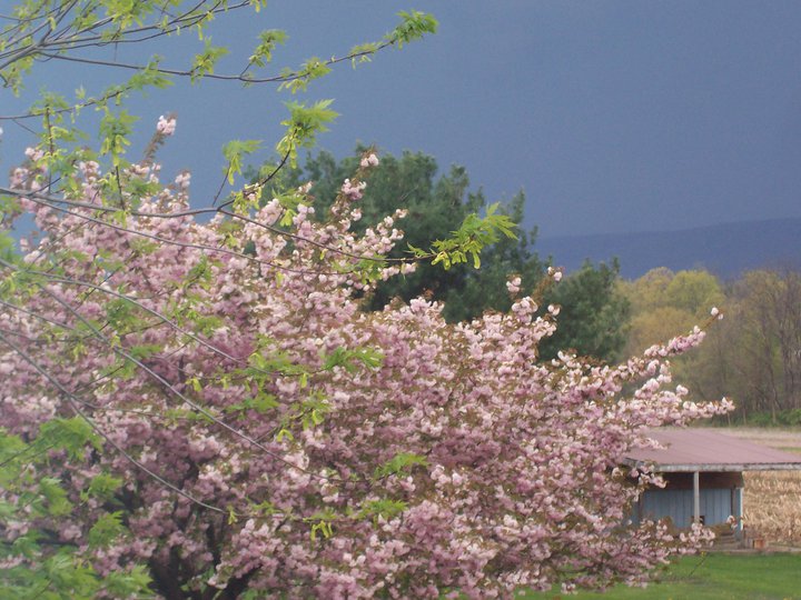 Mifflinburg, PA: A spring storm coming....