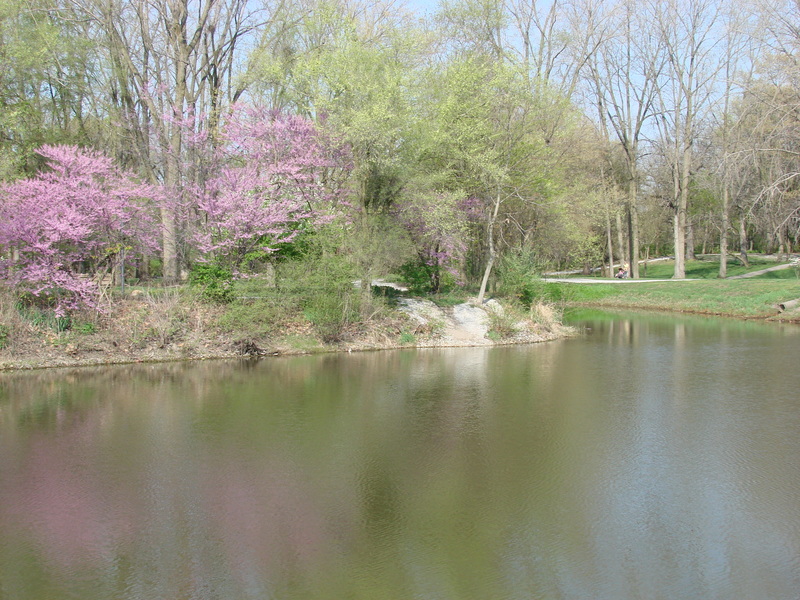 Rochester, IN: hospital pond