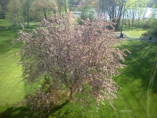 Columbia Heights, MN: Spring over Sullivan Lake