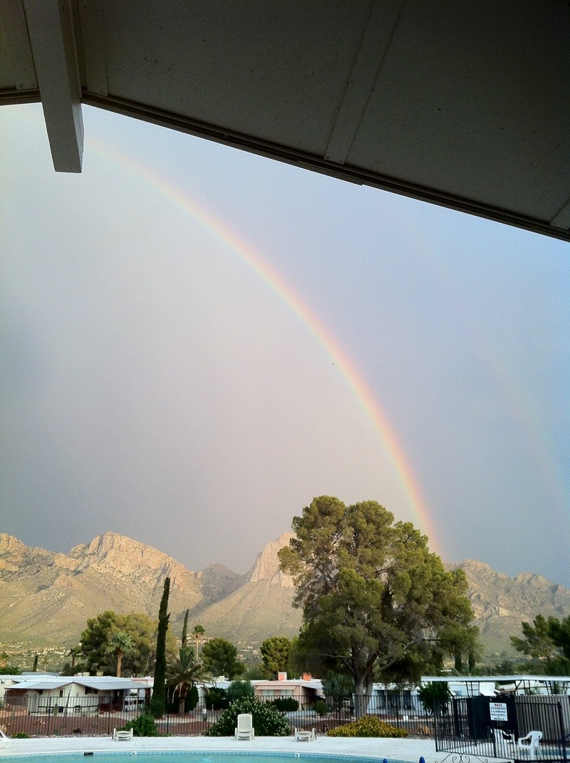 Oro Valley, AZ: Just a little rain