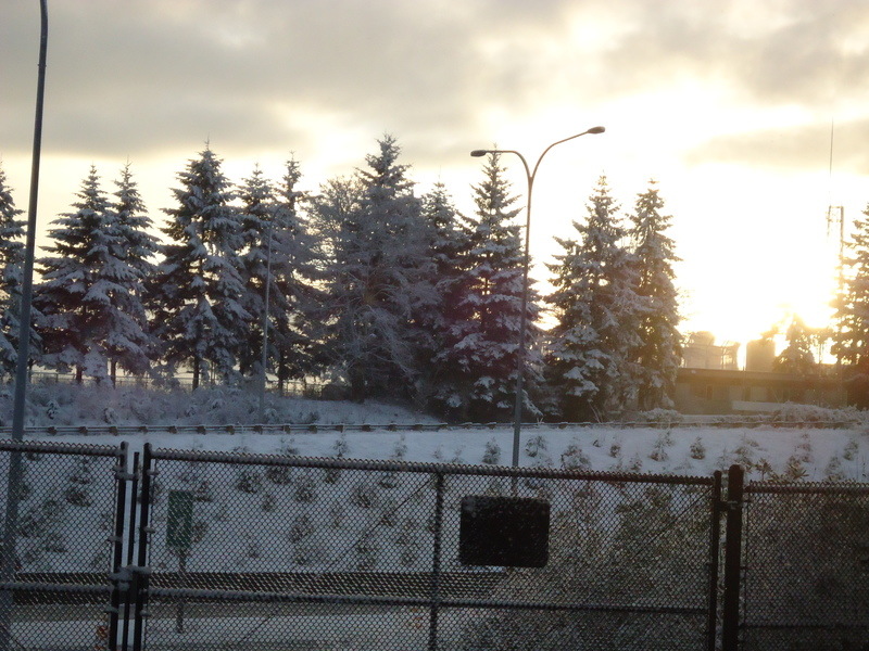Tukwila, WA: Looking across PAC Hwy. standing in Tukwila Station at Sunrise in the Winter