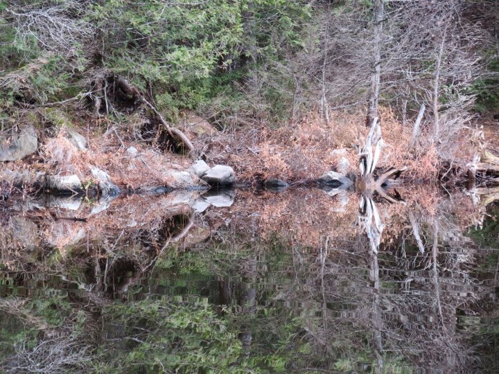 Solon, ME : Reflection in Baker Pond photo, picture, image (Maine) at