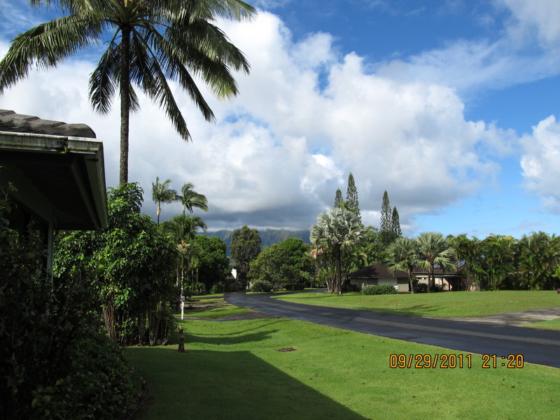 Princeville, HI: beautiful residential street in Princeville, Hawaii