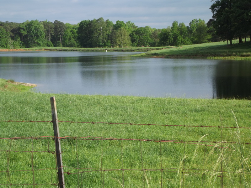 Yatesville, GA: Picture of lake at Heart Land R V park in Yatesvilles