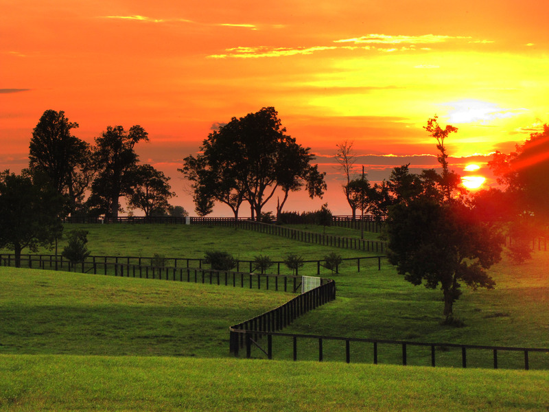 Fayette, KY : Lexington, Kentucky scenery