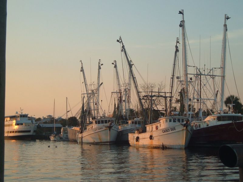 Tarpon Springs, FL : At the sponge docks