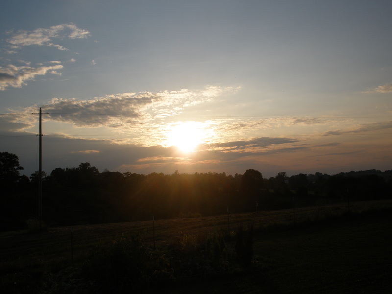 Telford, TN: Sunset in Telford TN