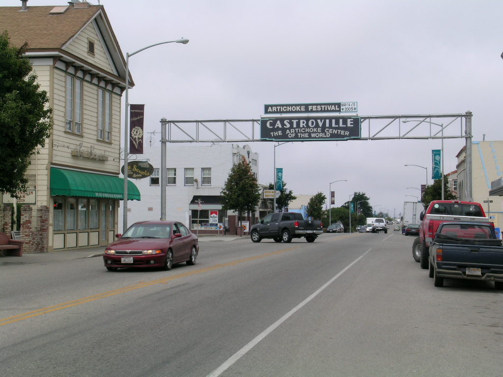 Castroville, CA : Main Street photo, picture, image (California) at