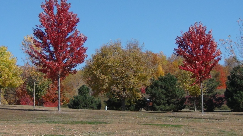 Chanhassen, MN: Beautiful Fall Color at Lake Susan Park