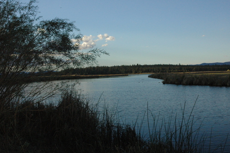 McArthur, CA Lake in McArthur, CA photo, picture, image (California