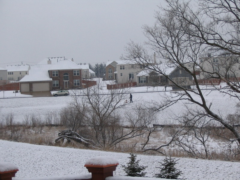 Carpentersville, IL: Snowy Day in Carpentersville