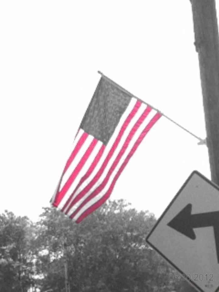 Delight, AR Flag on business in town photo, picture, image (Arkansas