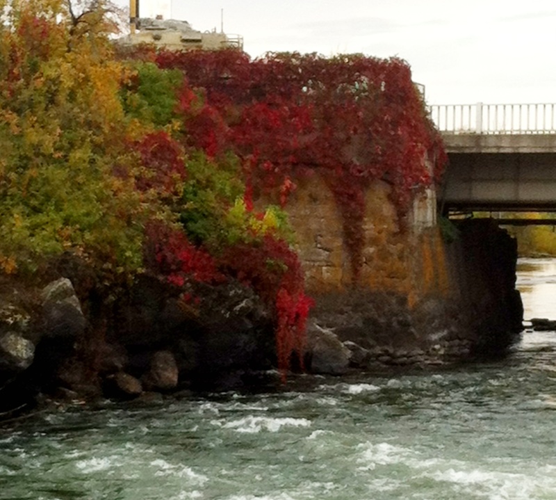 St. Anthony, ID: Bridge from the park fall colors