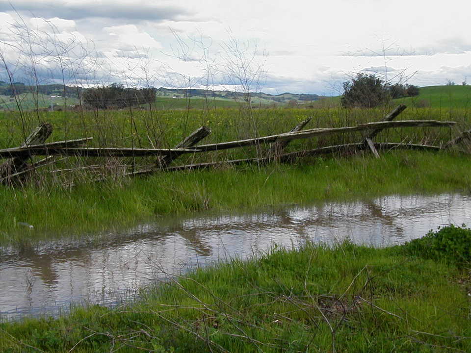 Petaluma, CA : Browns Lane