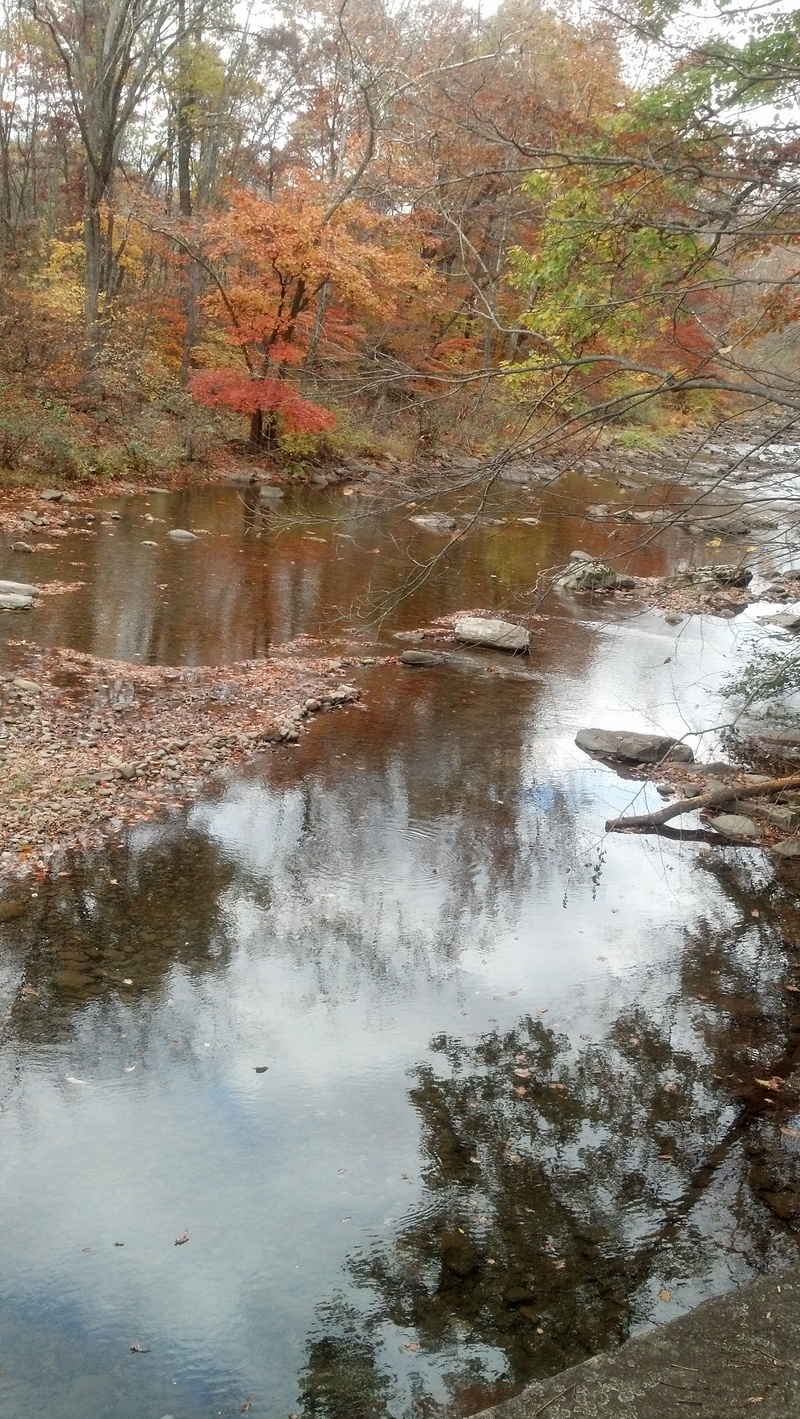 Hyndman, PA: wills creek in hyndman pa
