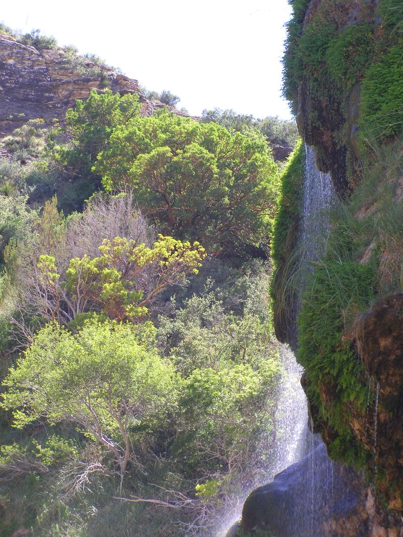 Carlsbad, NM: Sitting Bull Falls near Carlsbad, NM