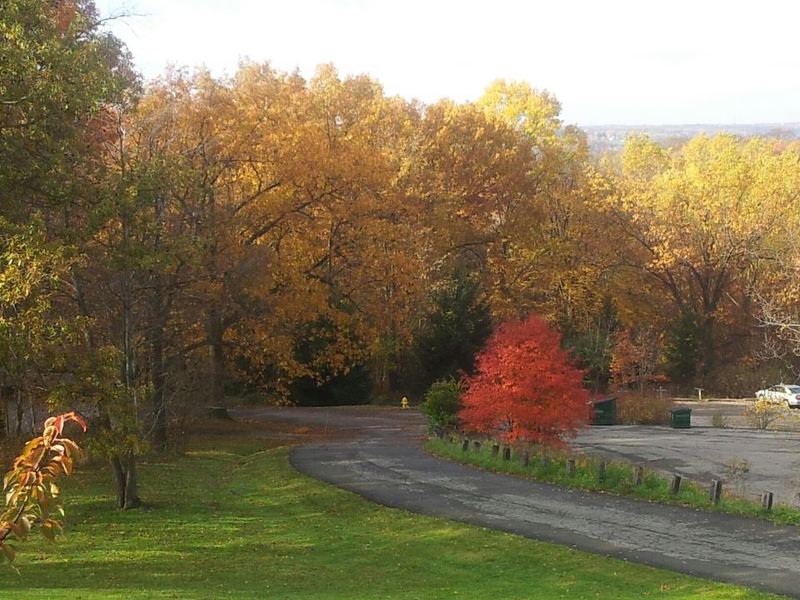Hermitage, PA: lake wood apt. in fall 1