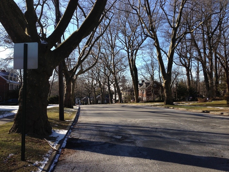 Singles in munsey park ny Luxury Shopping Center Long Island New York, Americana Manhasset