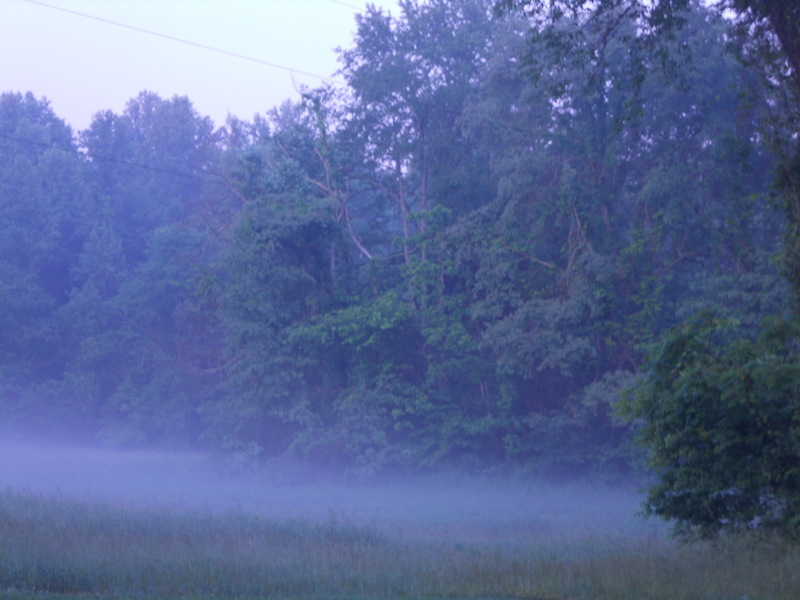 Dickson, TN: Dickson Tennessee The Haze over the Hay Field 2012 - inside these tree is a graveyard dating back to the 1800's by Sharon Rex