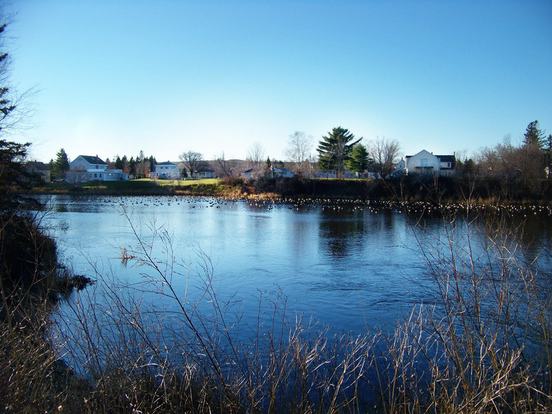 Washburn, ME Mill Pond at Summer's End photo, picture, image (Maine) at