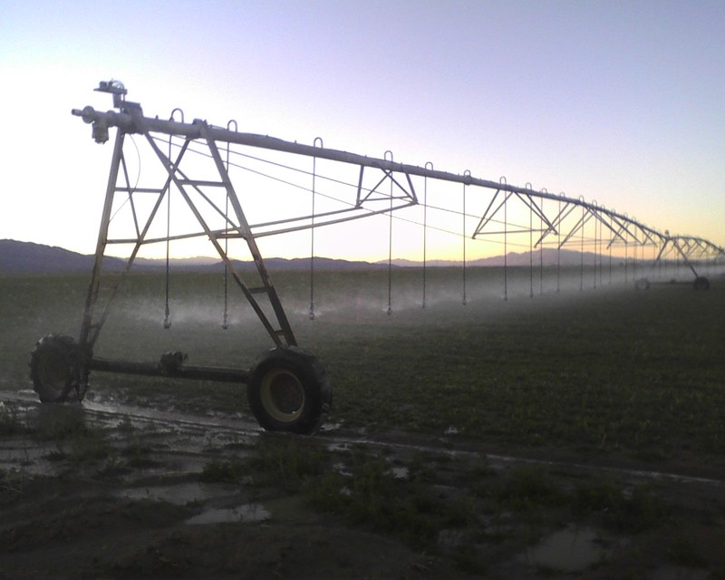 Amargosa Valley, NV: Amargosa Valley Dairy Sprinklers