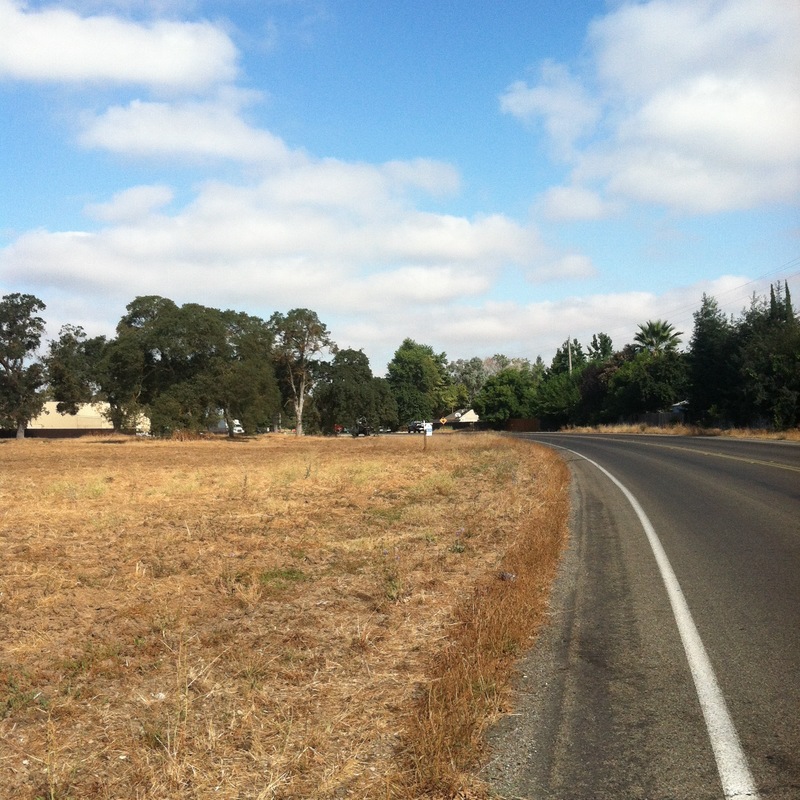 Lockeford, CA: On one of my quiet walks up Brandt, down Hilside and back around via Jacktone
